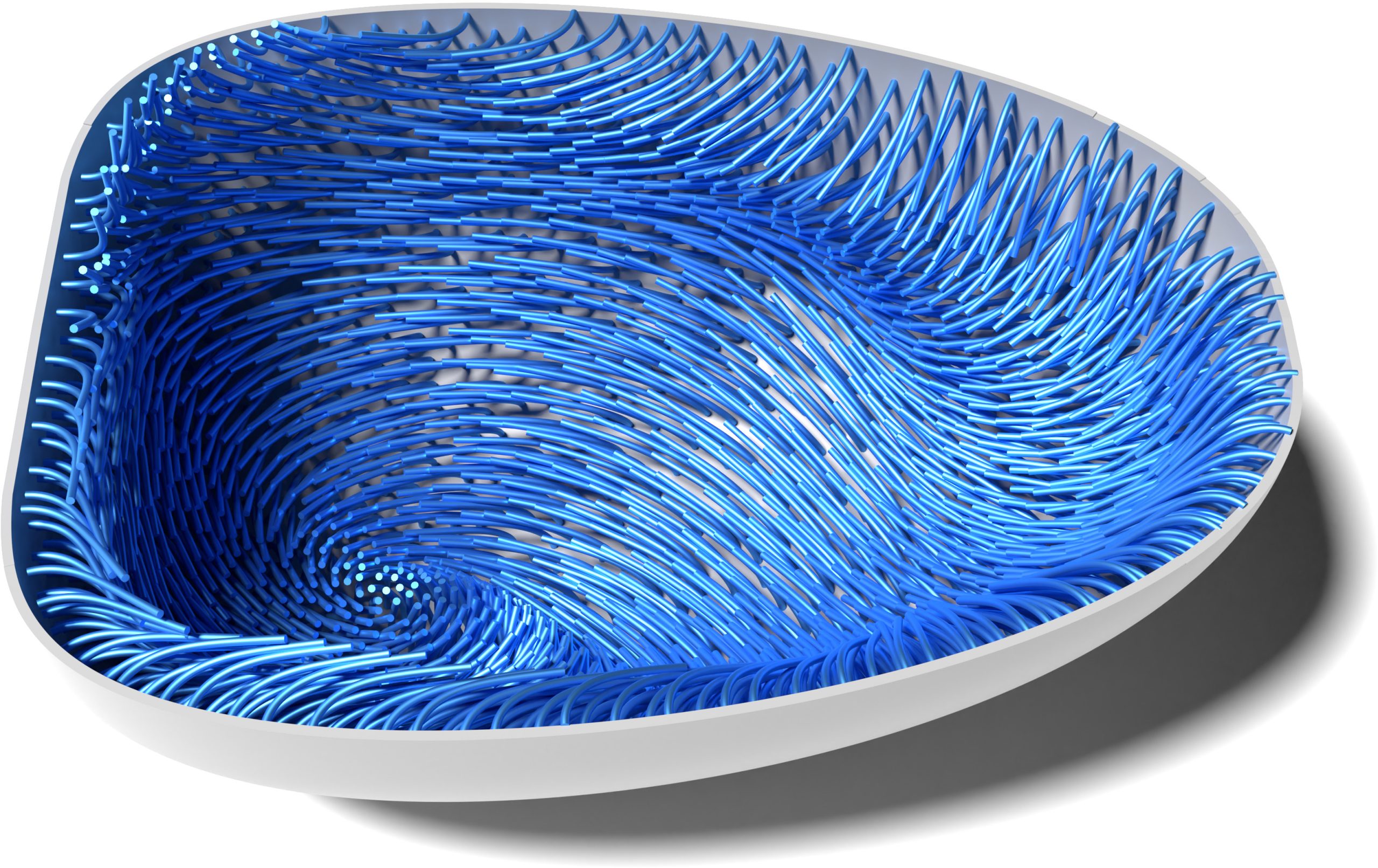 Simulation-of-How-Microtubules-Bend-and-Direct-Material-in-a-Maturing-Egg-Cell-scaled.jpg