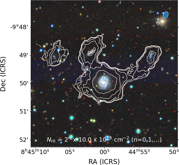 Four-Nearby-Galaxies-as-Part-of-the-Set-of-49-Found-by-MeerKAT.jpg