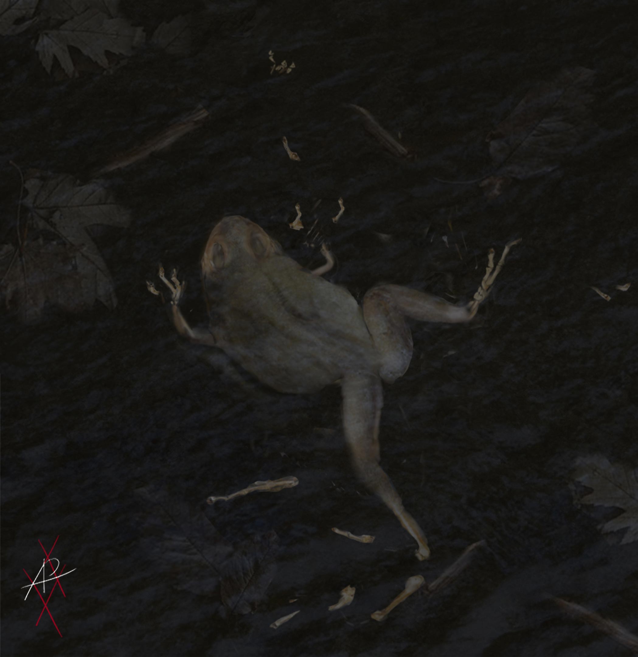 Geiseltal-Frog.jpg