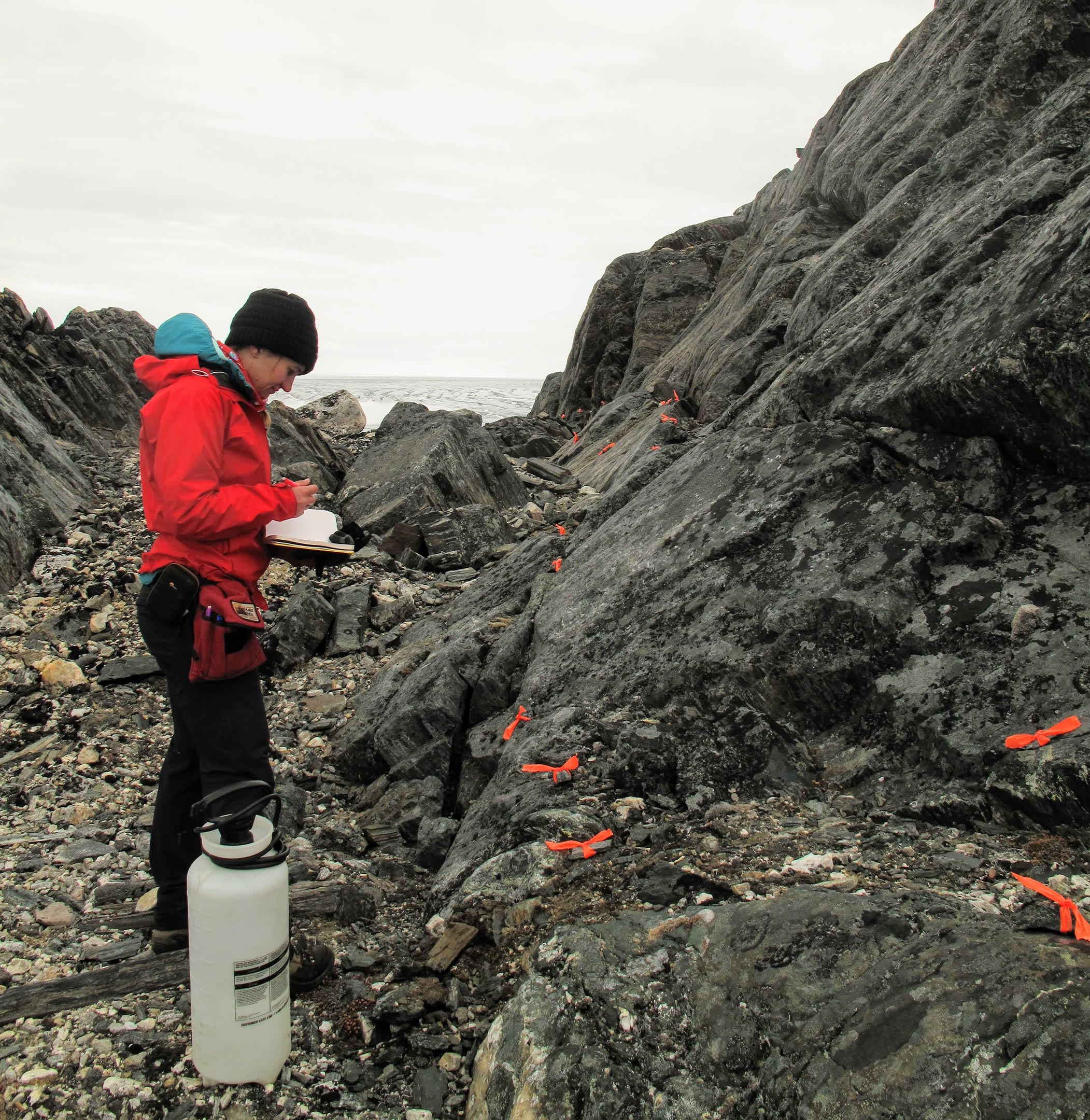 Field-Work-Isua-Greenland.jpg