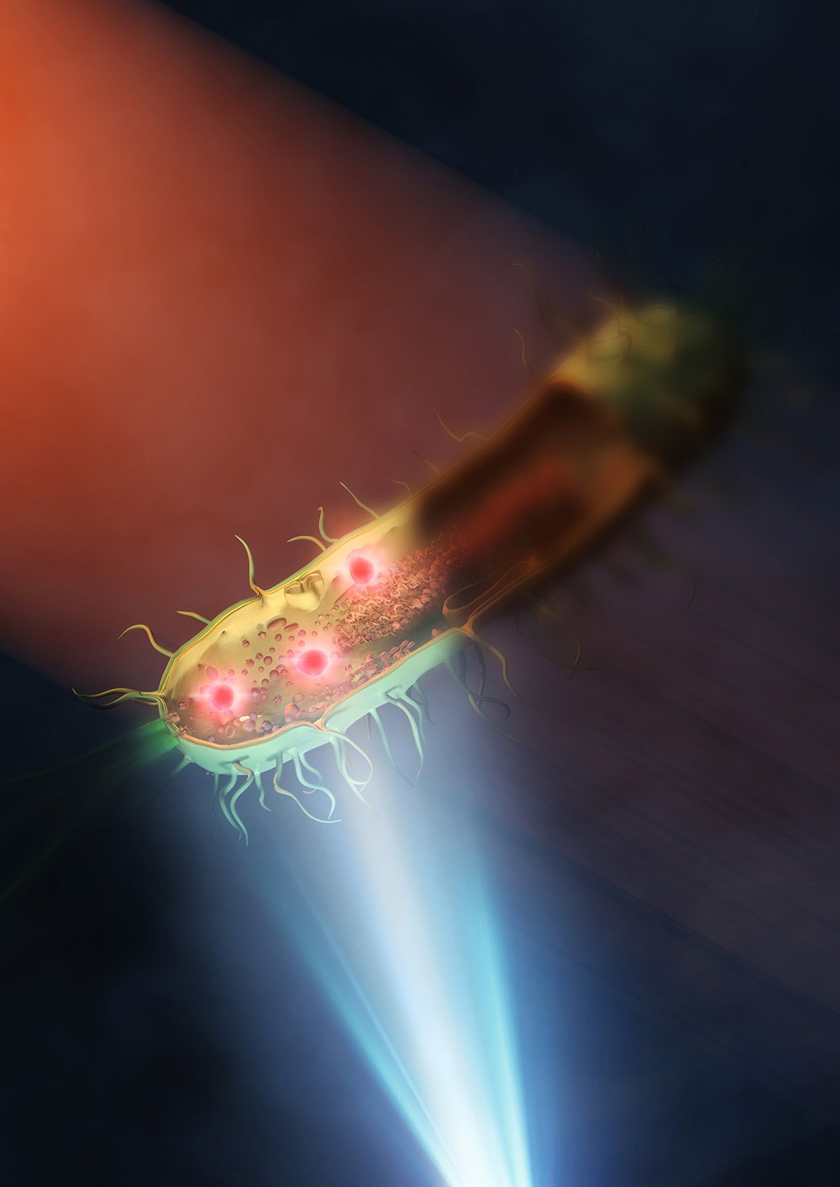 Bacteria-Being-Illuminated-With-Mid-Infrared.jpg