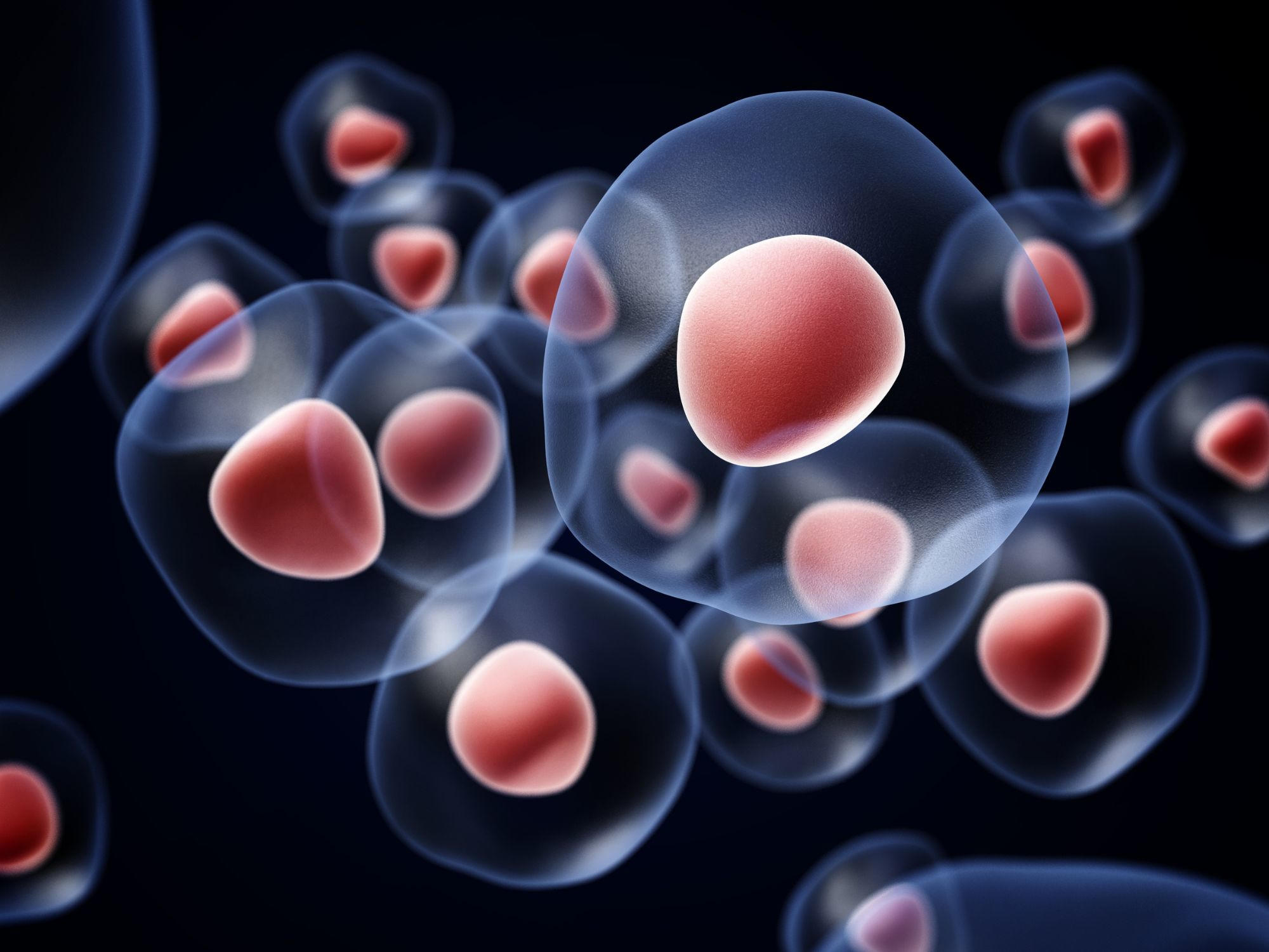 Numerous-Cells-Concept.jpg