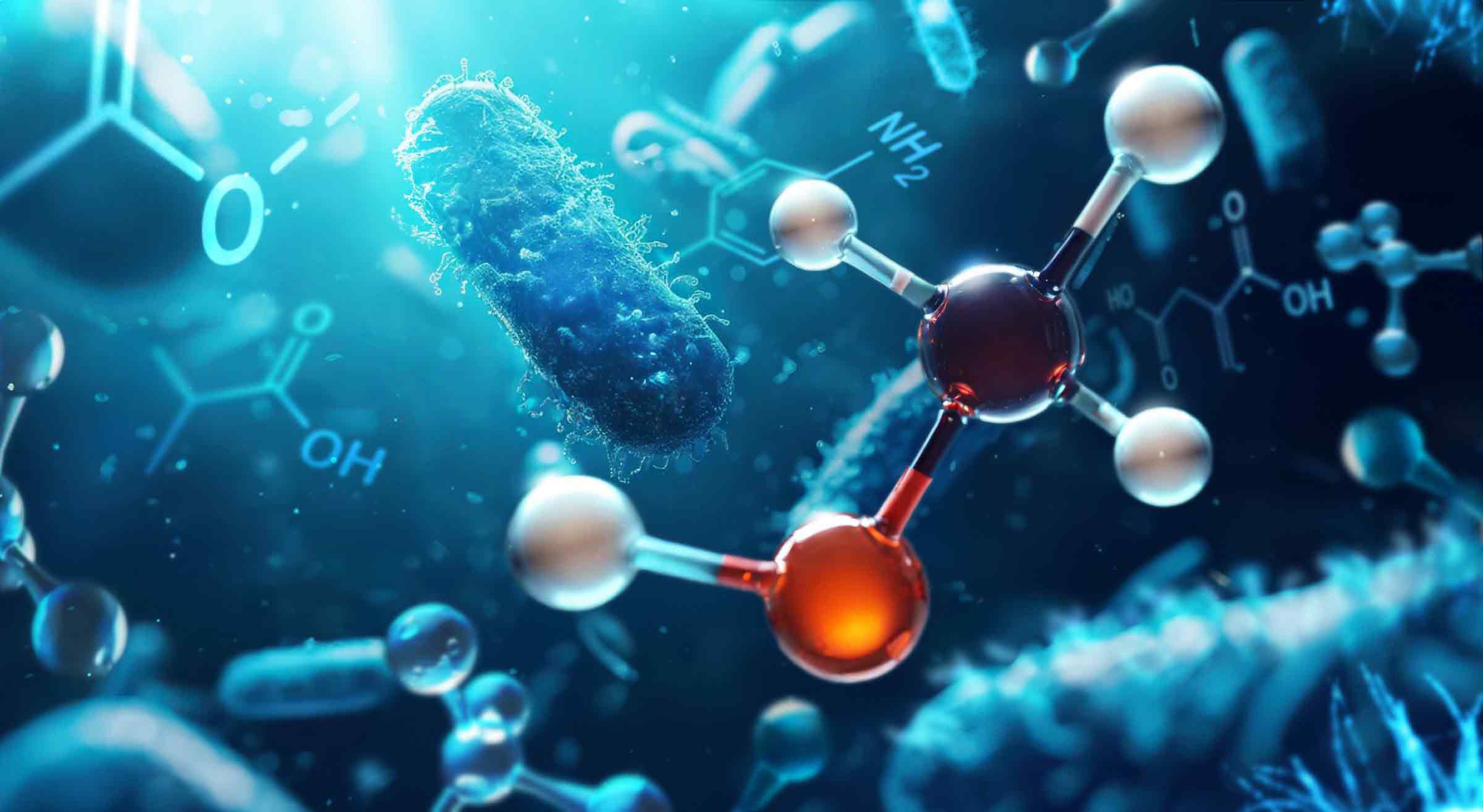 Bacteria-and-Methanol.jpg