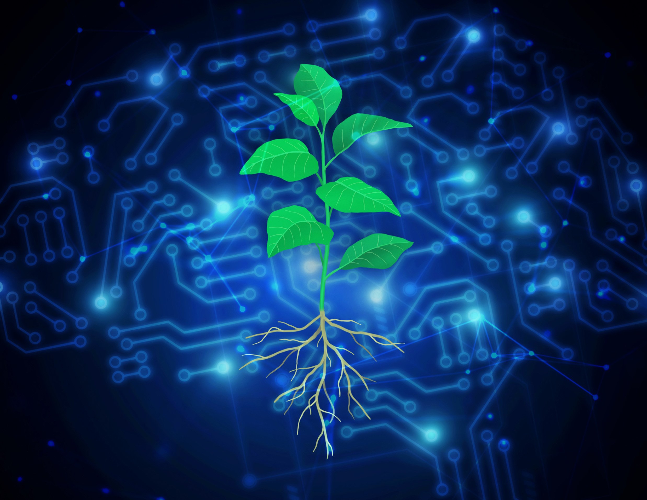 Plant-Computer-Illustration.jpg