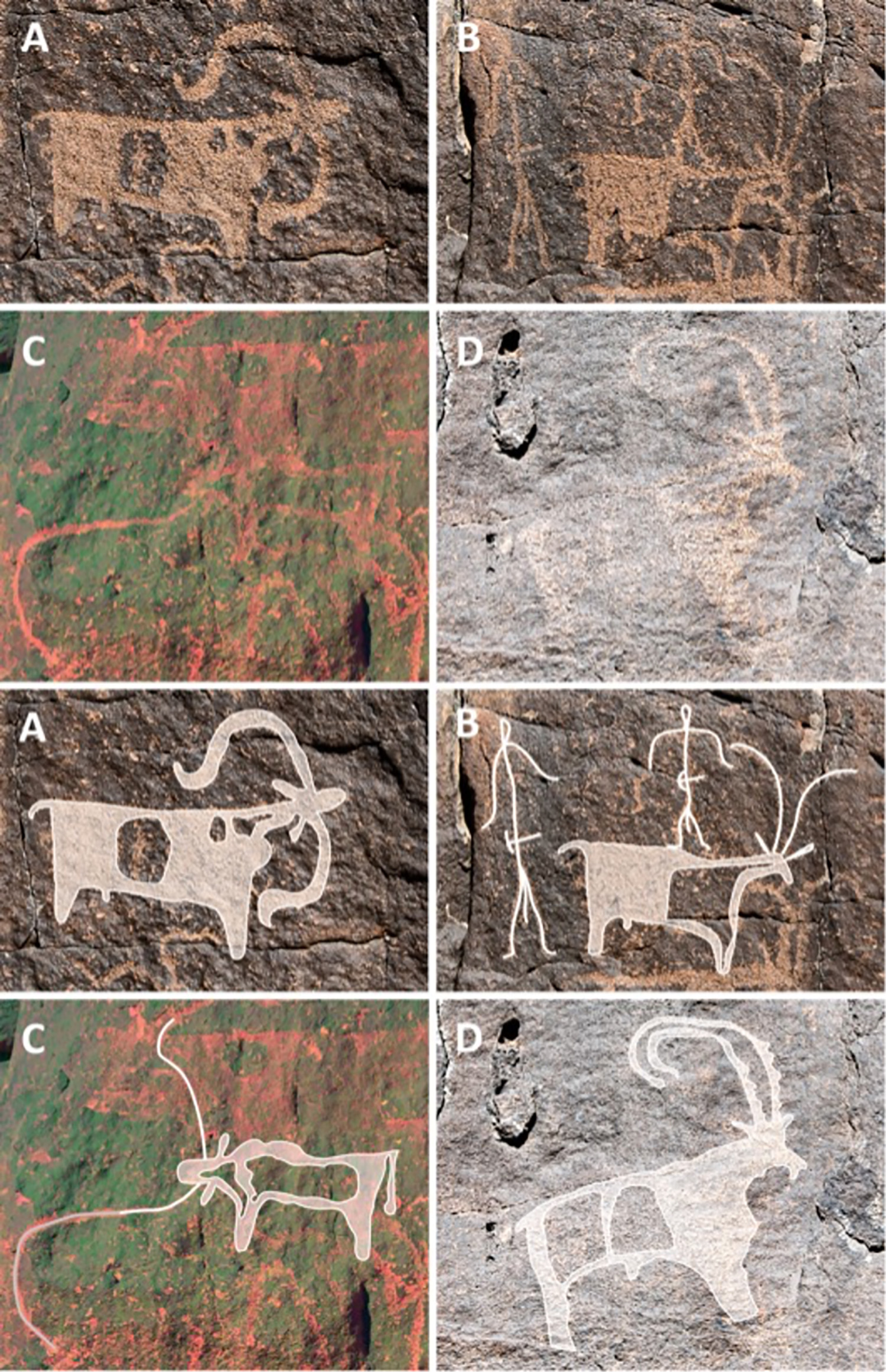 Rock-Art-of-Umm-Jirsan.jpg