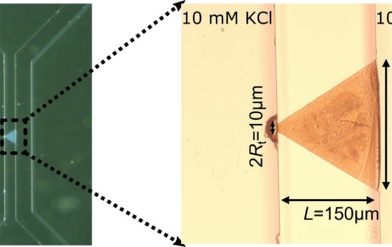 Artificial-Synapse-Microscopic-Picture.jpg