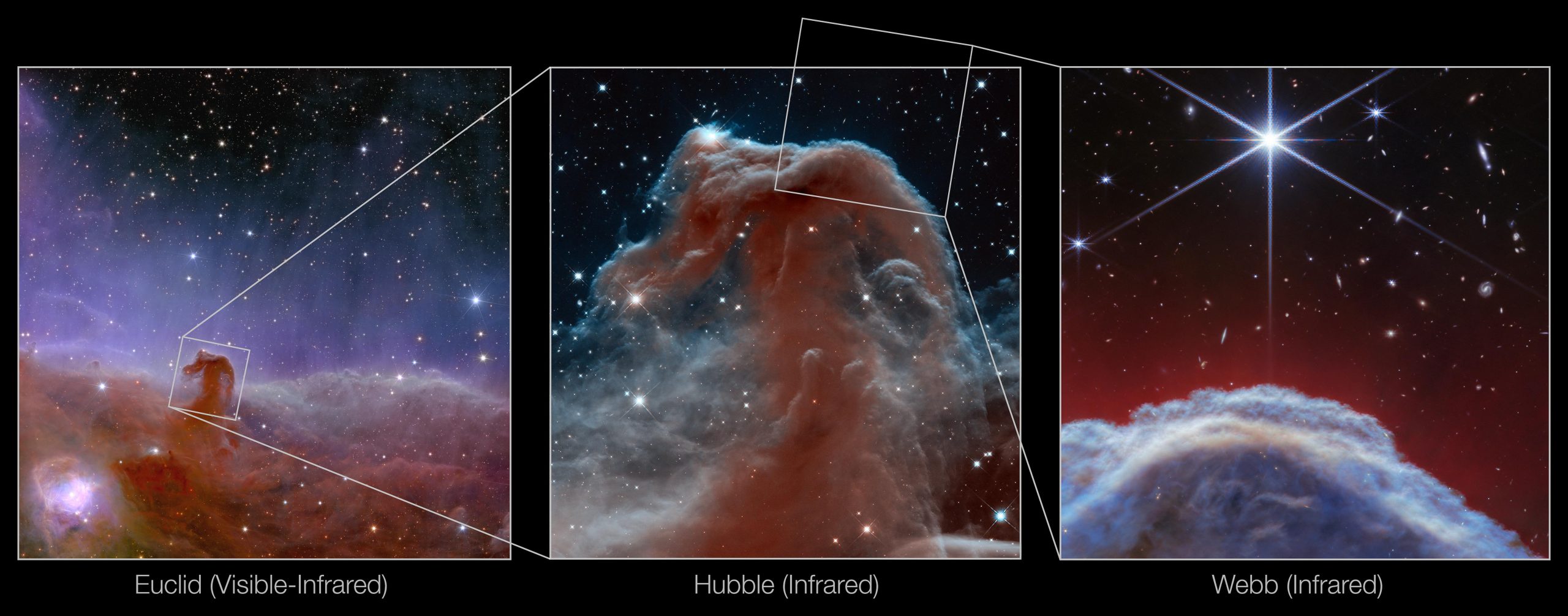 Horsehead-Nebula-Euclid-Hubble-Webb-scaled.jpg