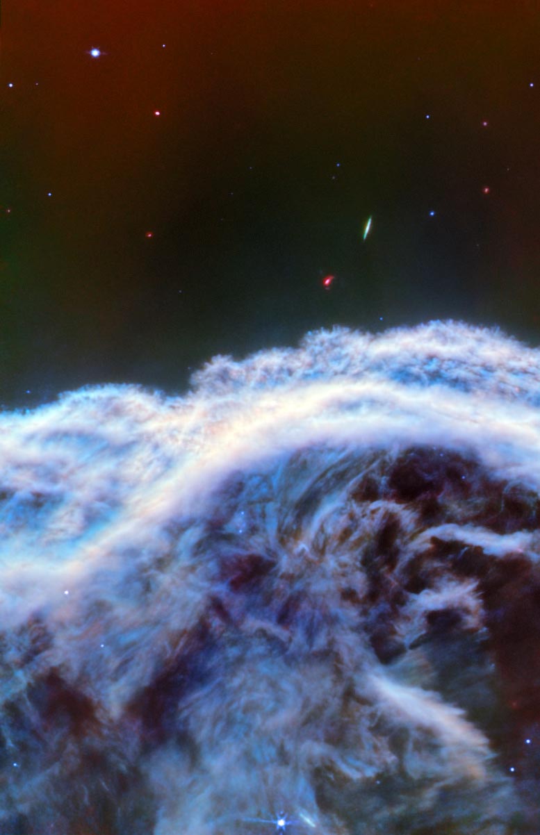 Horsehead-Nebula-Webb-MIRI-Image.jpg