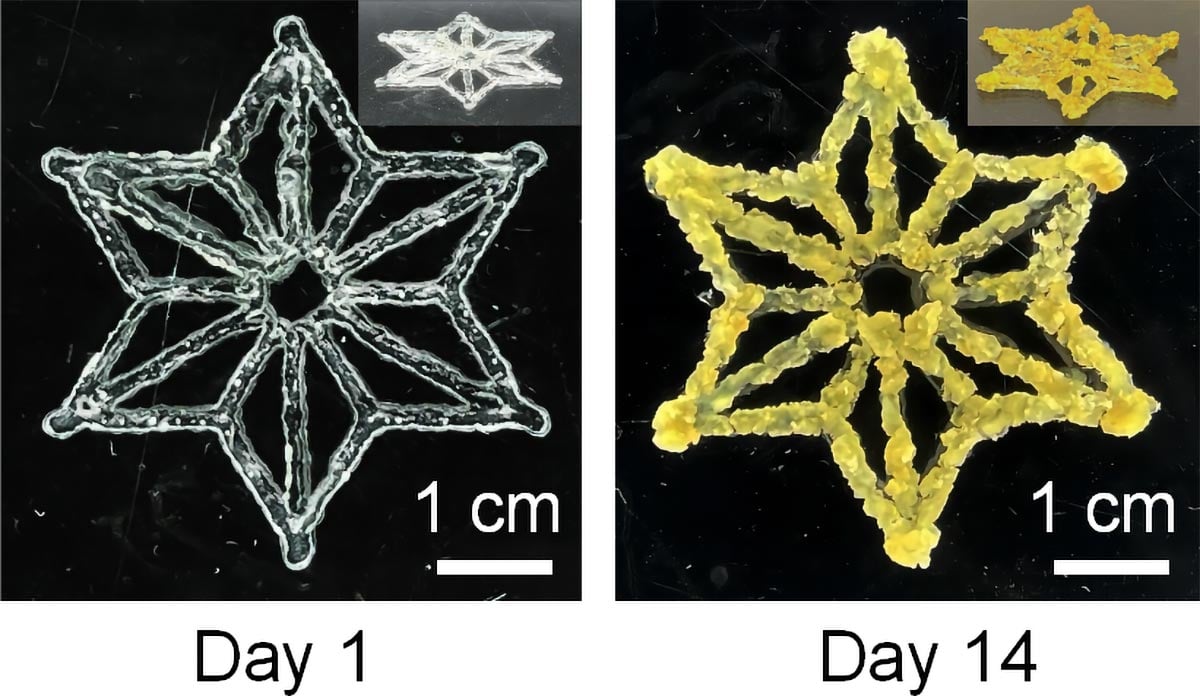 Synthetic-Biology-and-3D-Printing-Produces-Programmable-Living-Materials.jpg