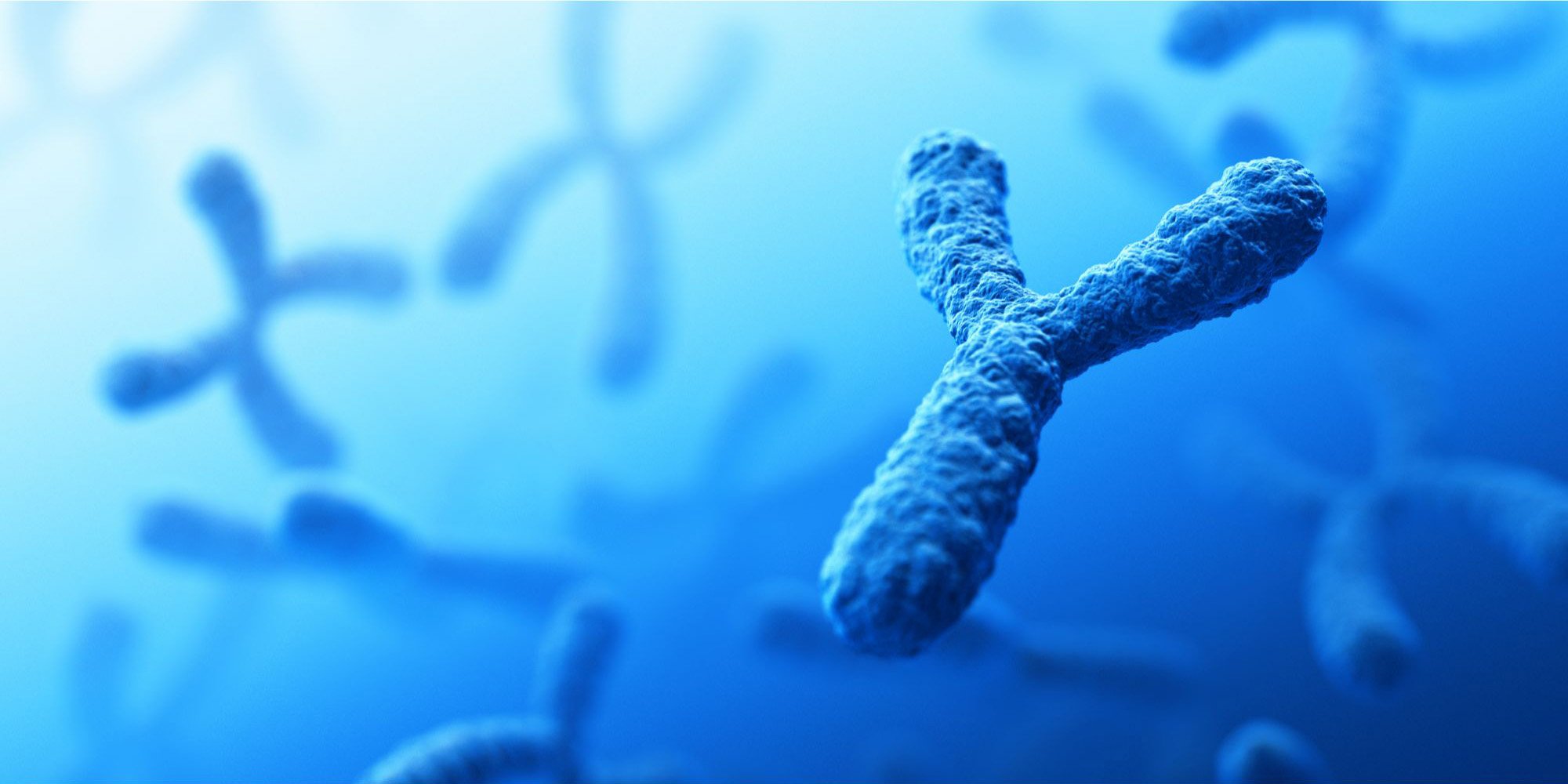 Y-Chromosome-1.jpg