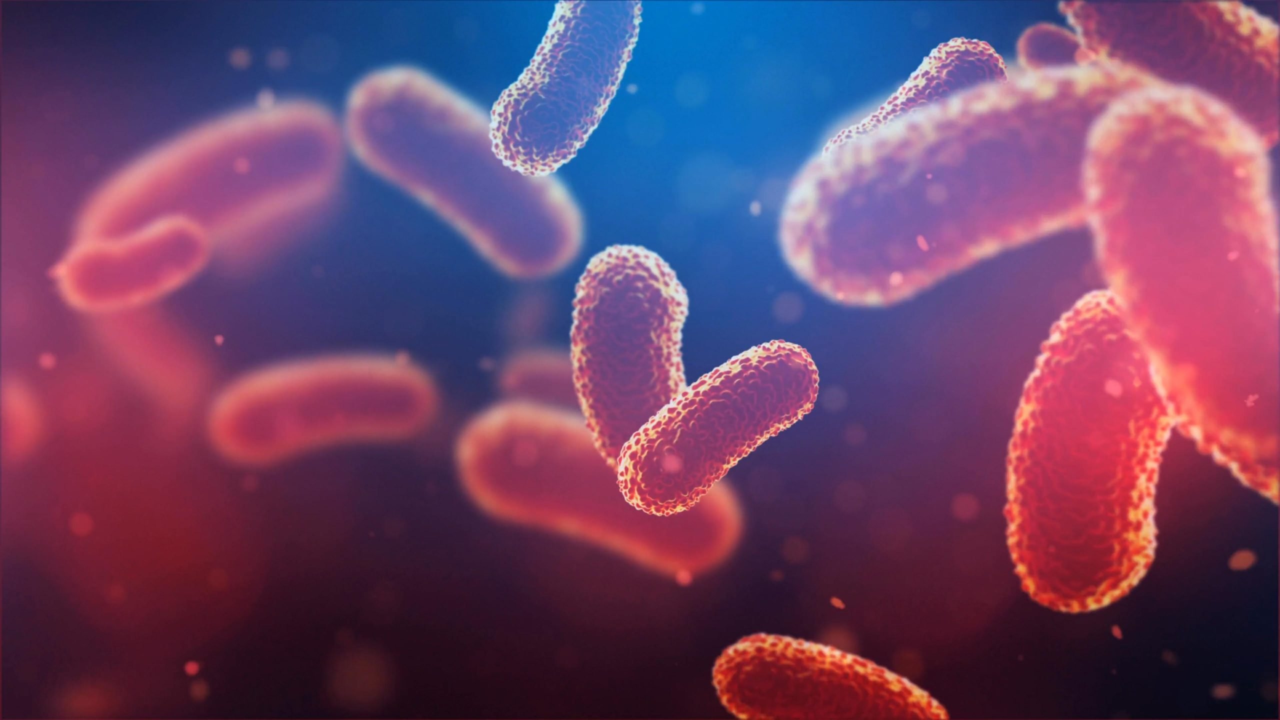 Bacteria-Artist-Illustration-scaled.jpg