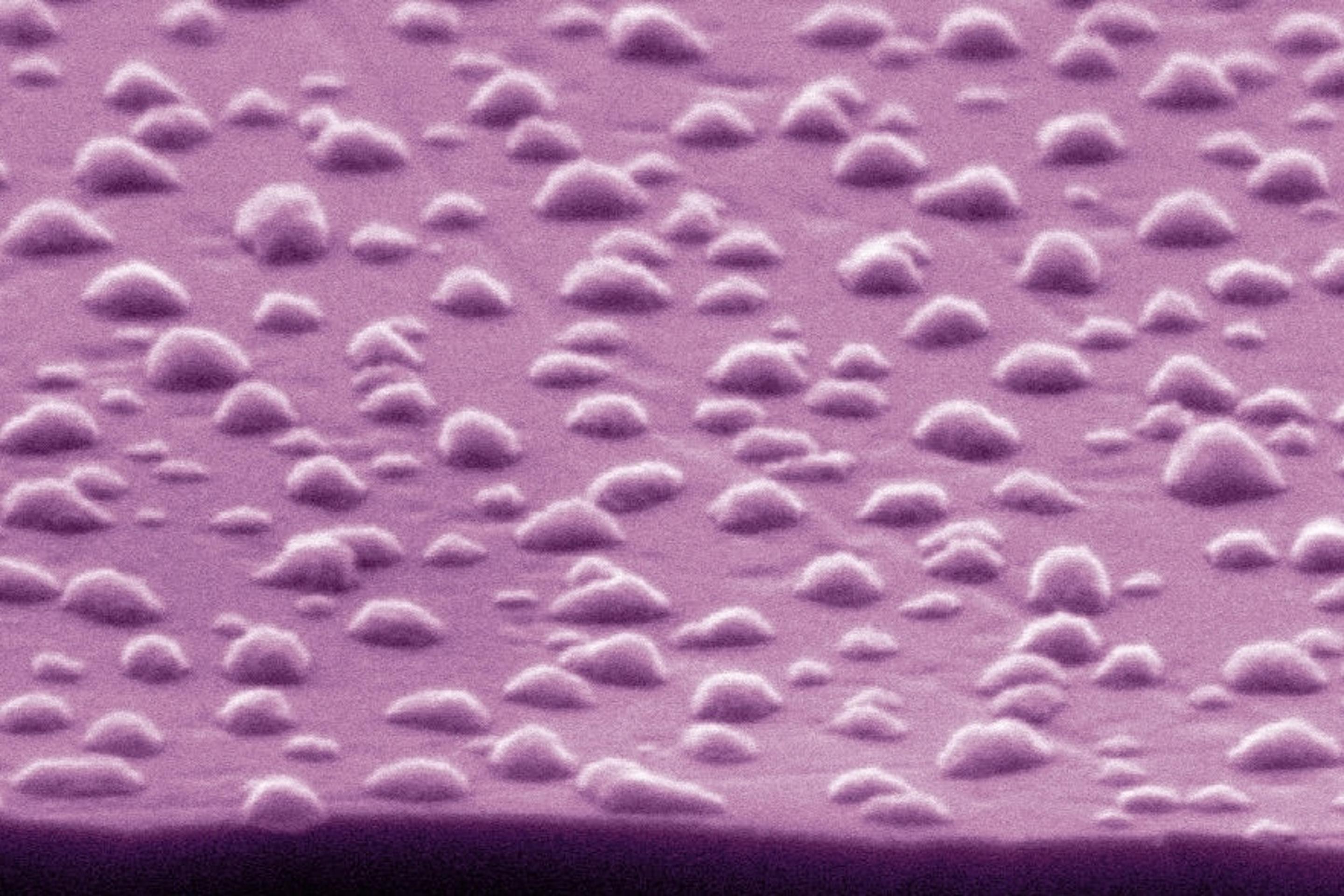 qxyciqM4.jpg