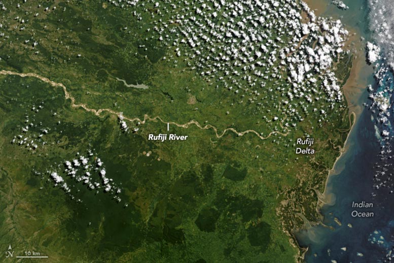 Rufiji-Tanzania-2023-Annotated.jpg