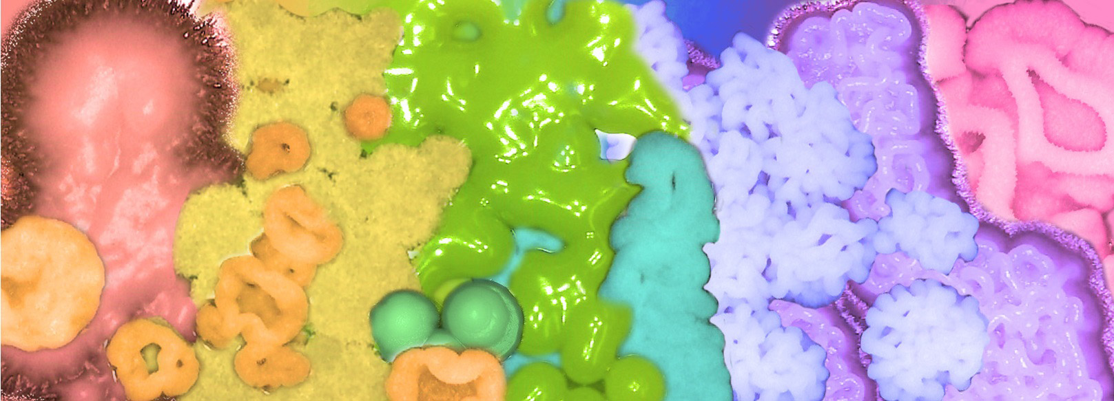 Yeast-Colonies.jpg