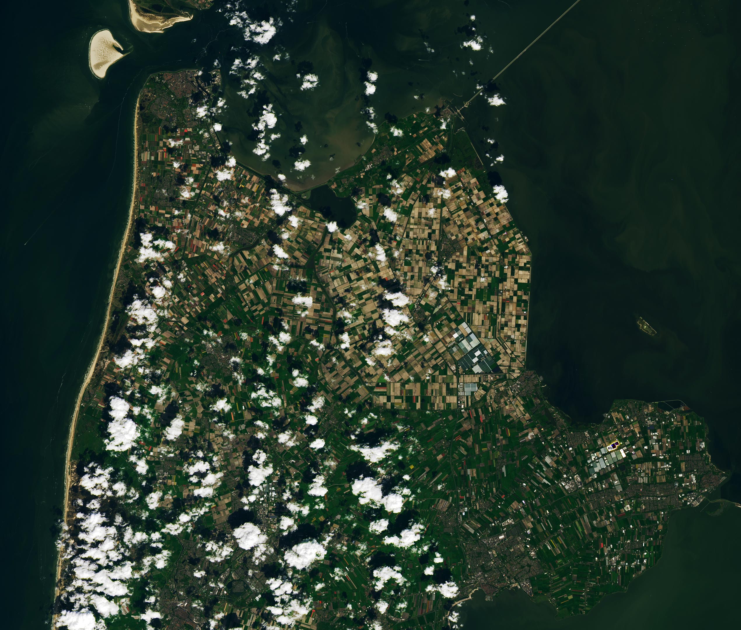 Netherlands-Tulip-Fields-2024.jpg