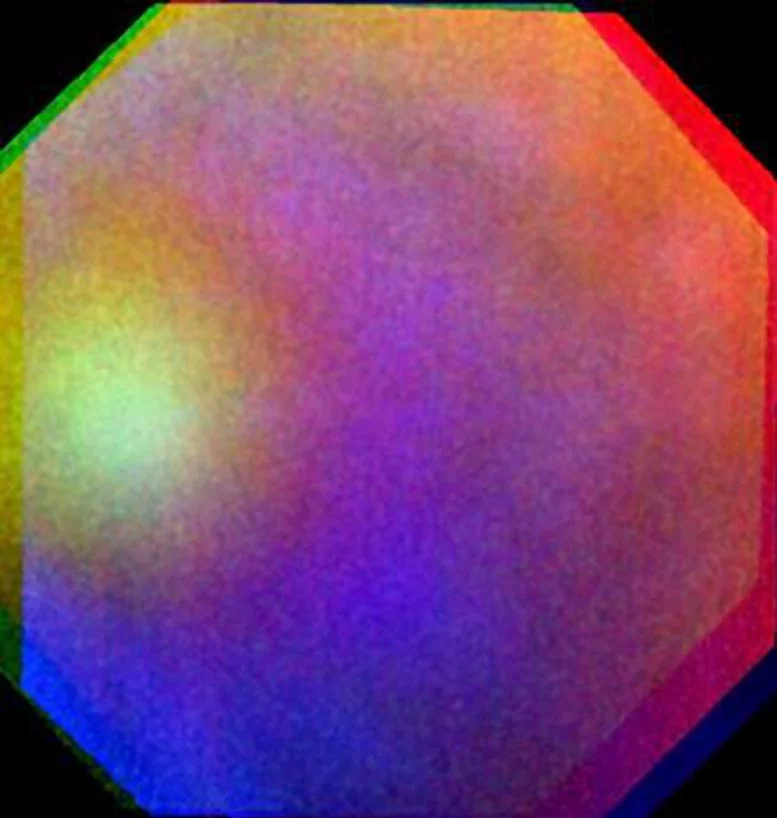 Venus-Glory.webp