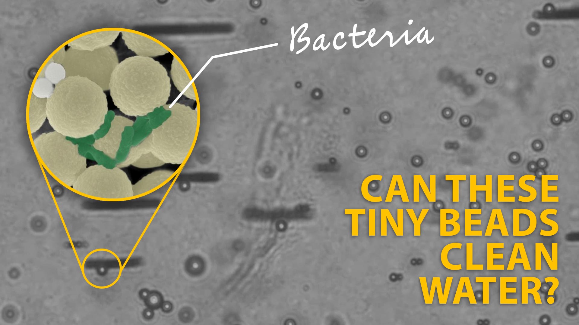 Swarms-of-Miniature-Robots-Clean-Up-Microplastics-and-Microbes.jpg