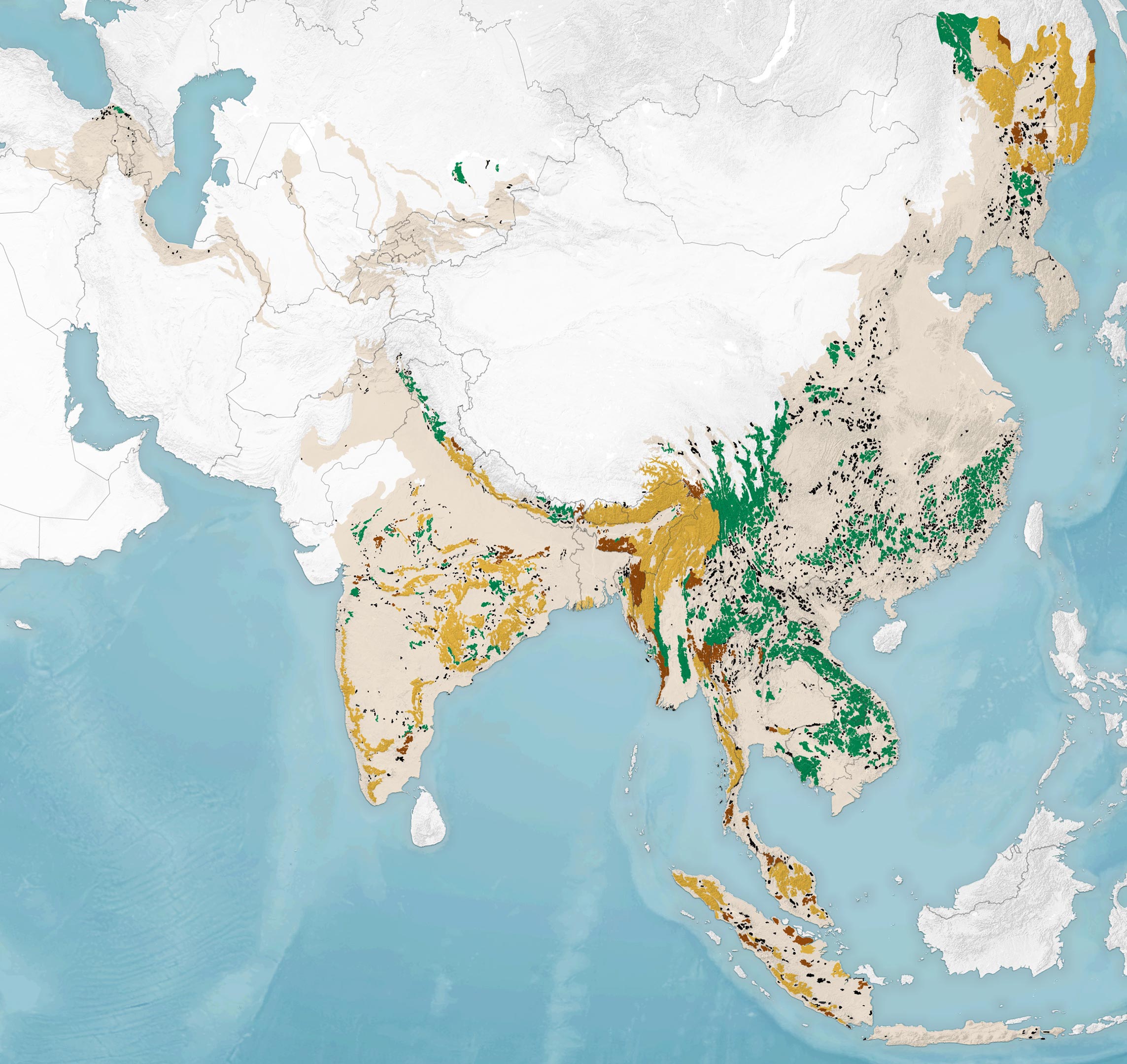 Tiger-Habitat-2020.jpg