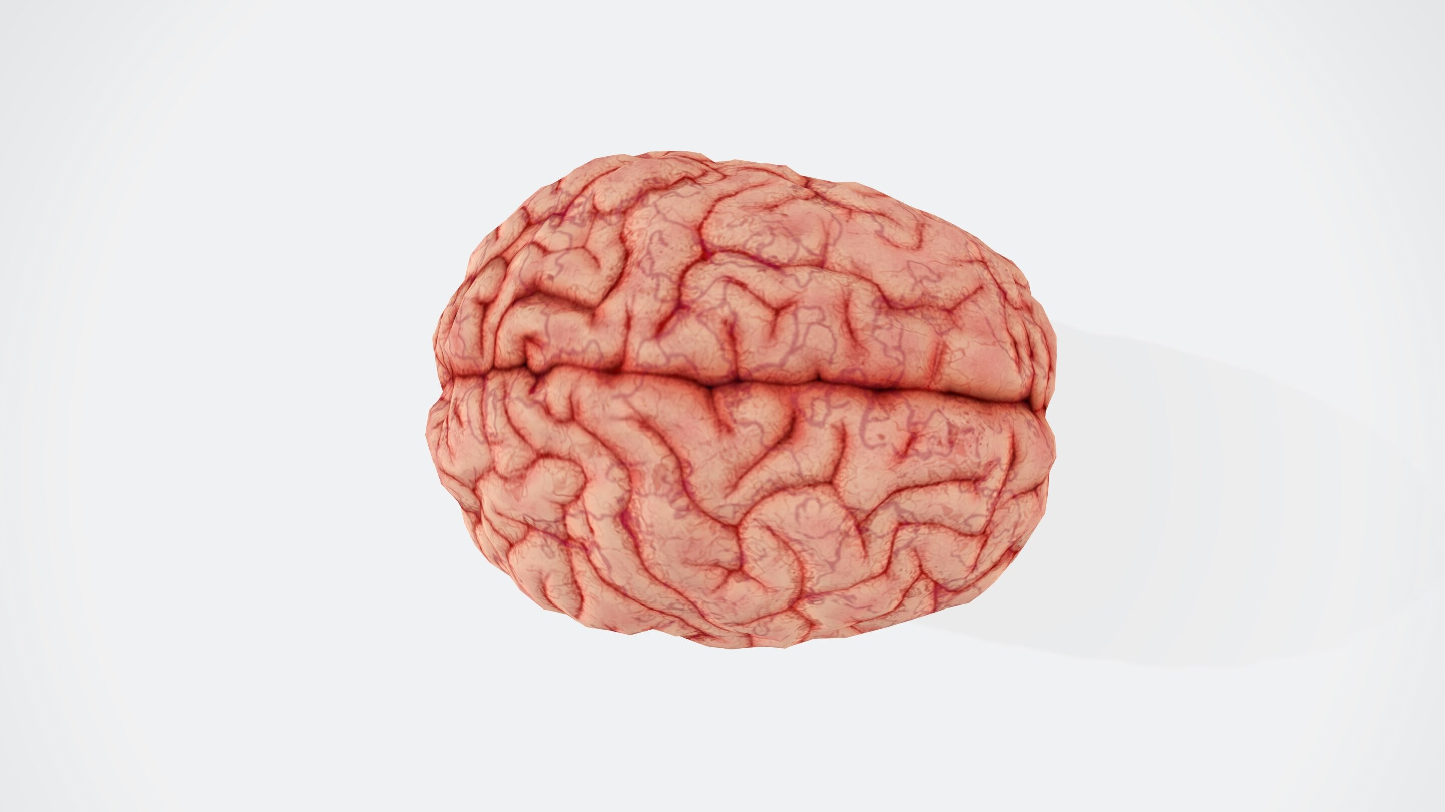 blood-brain-barrier.jpg