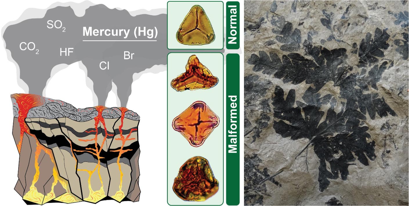 Schematic-Scenario-for-Flood-Basalt-Eruptions-at-Triassic-Jurassic-Boundary.jpg