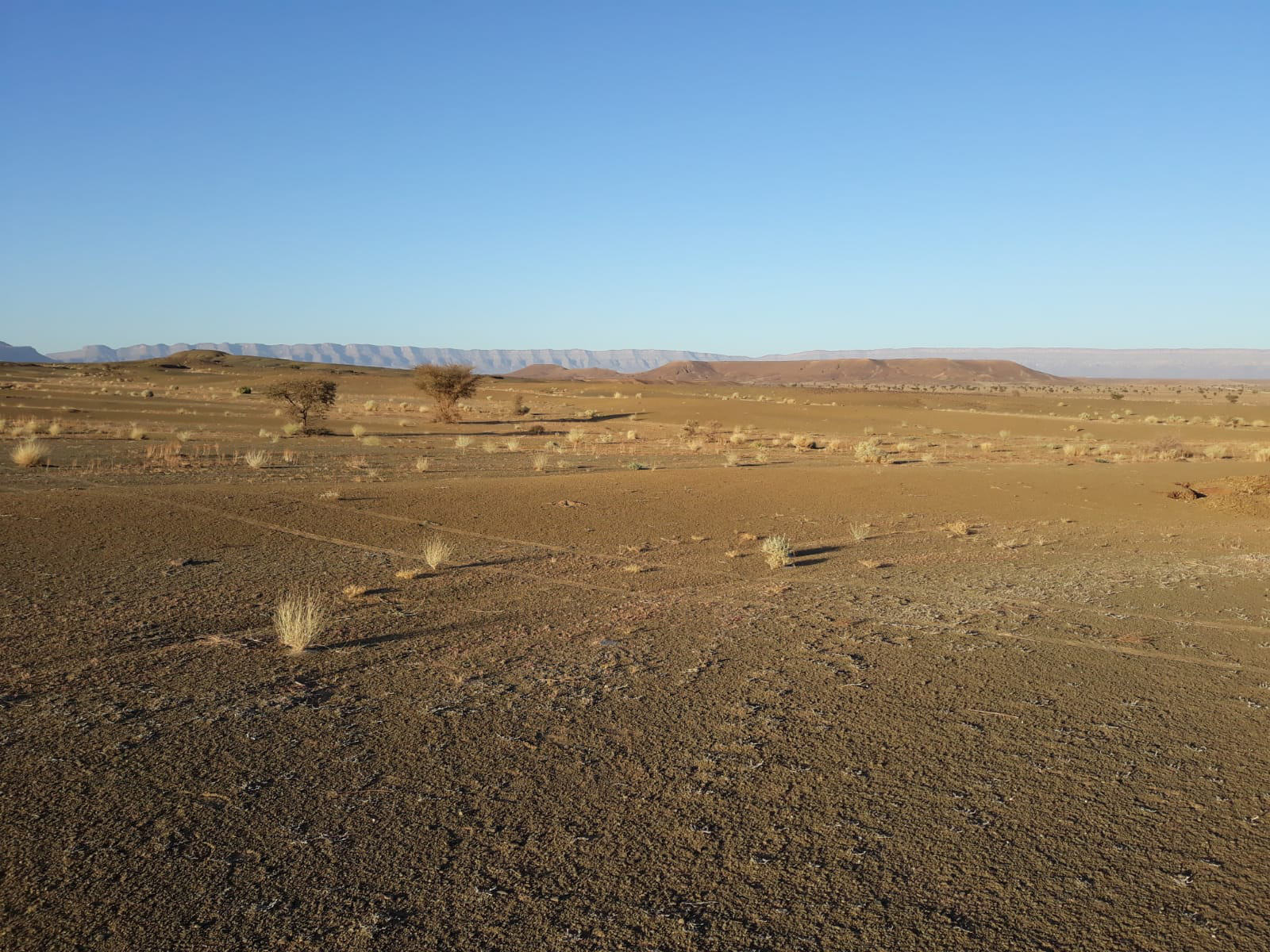 Fezouata-Landscape.jpg
