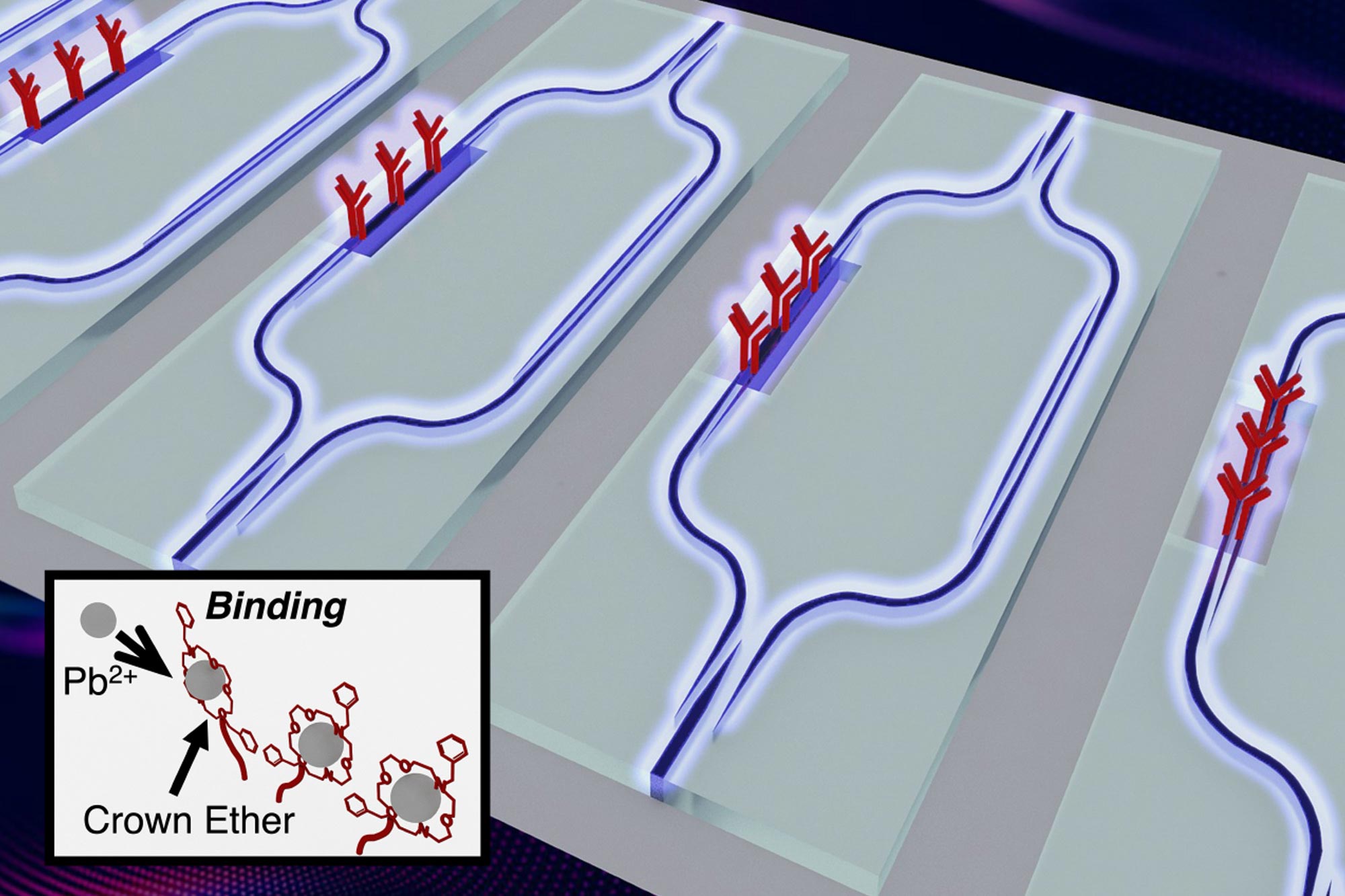 Sensor-Chip-for-Lead-Contamination.jpg