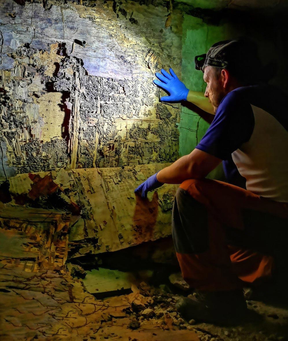 Termite-Infestation-Specialist-Inspects-Damage.jpg
