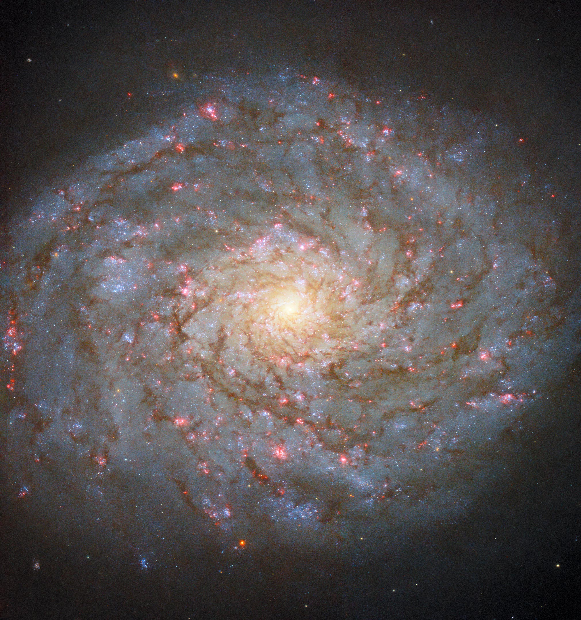 Spiral-Galaxy-NGC-4689.jpg