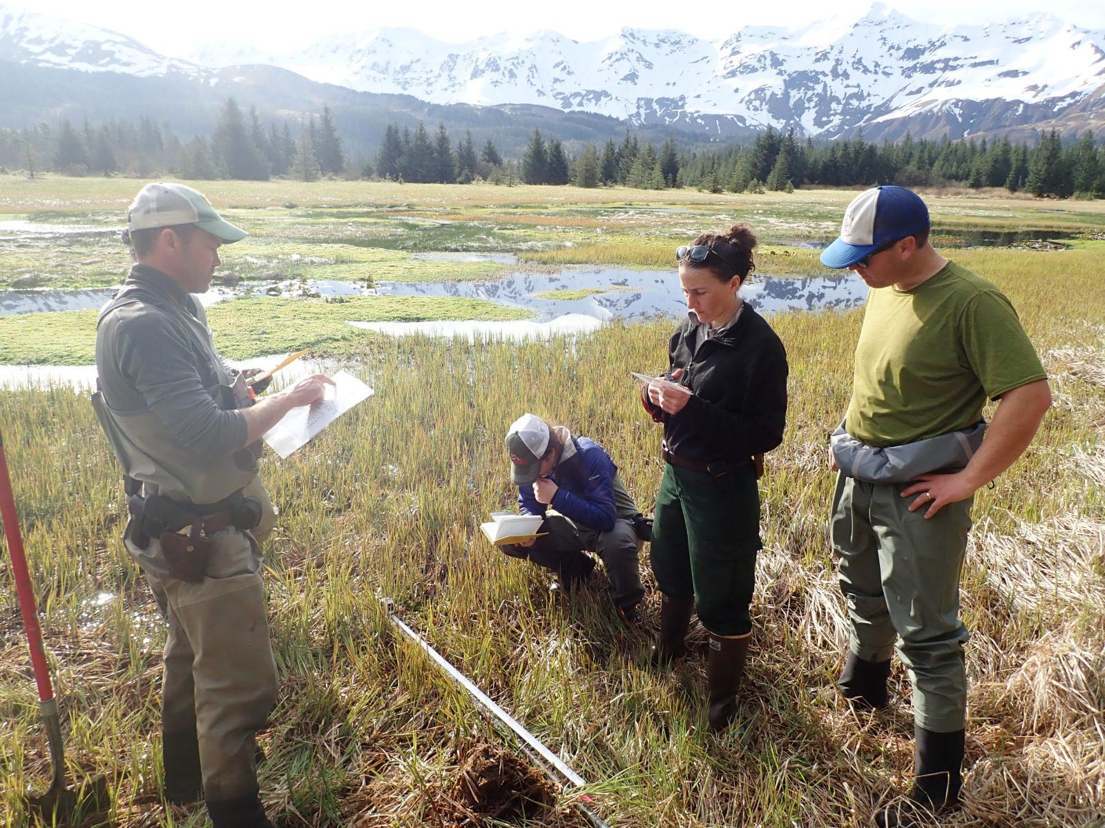 Jessica-DePaolis-Sedimentary-Core-Samples-Montague-Island-Alaska.jpg