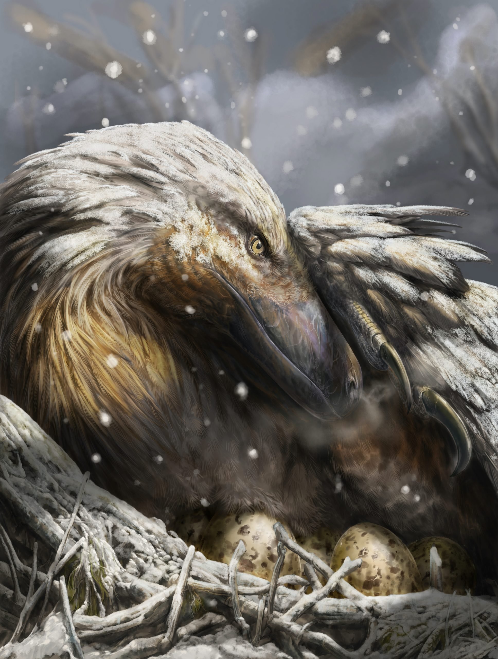 Dromaeosaur-scaled.jpg