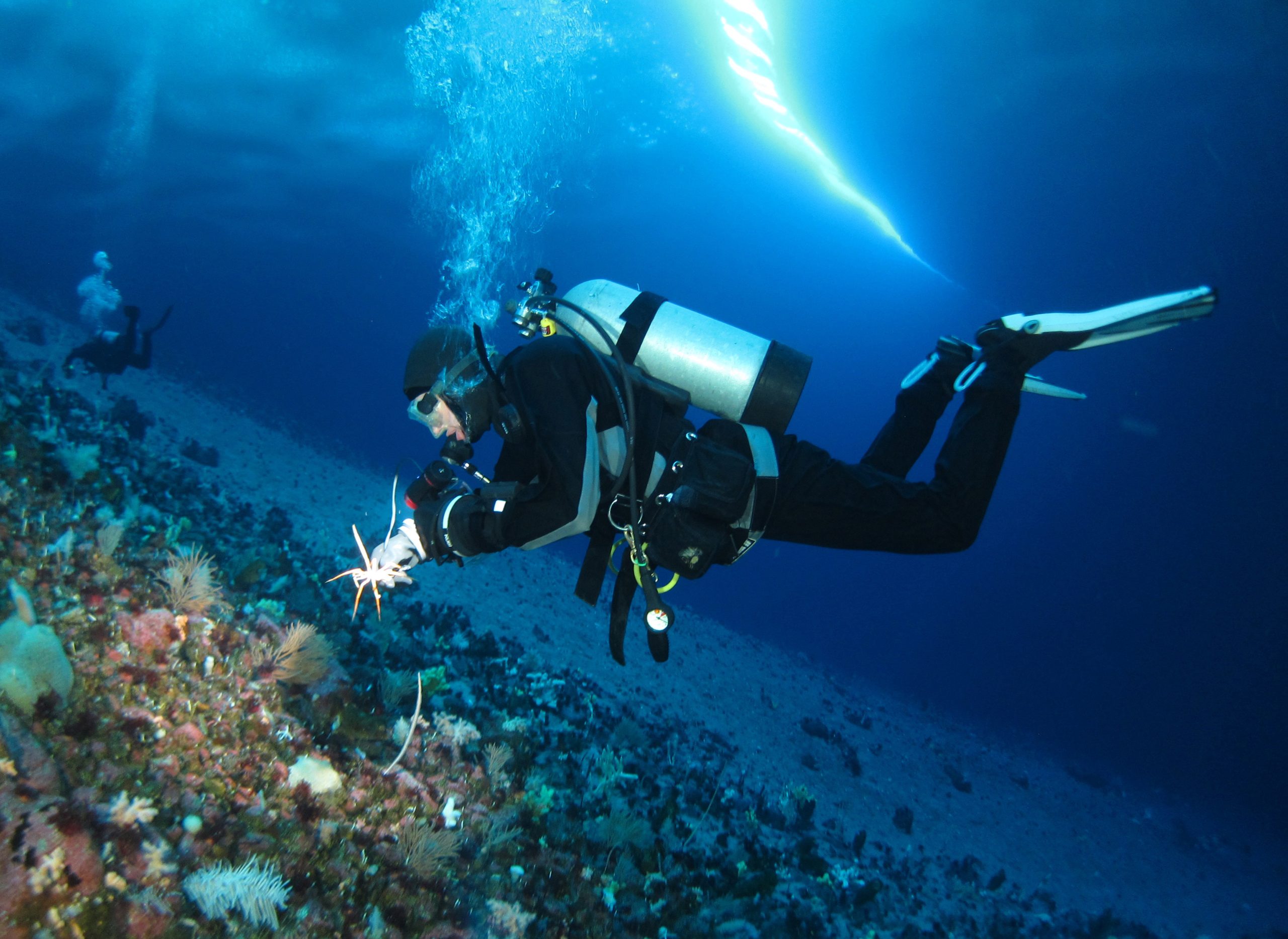 Amy-Moran-Research-Dive-scaled.jpg