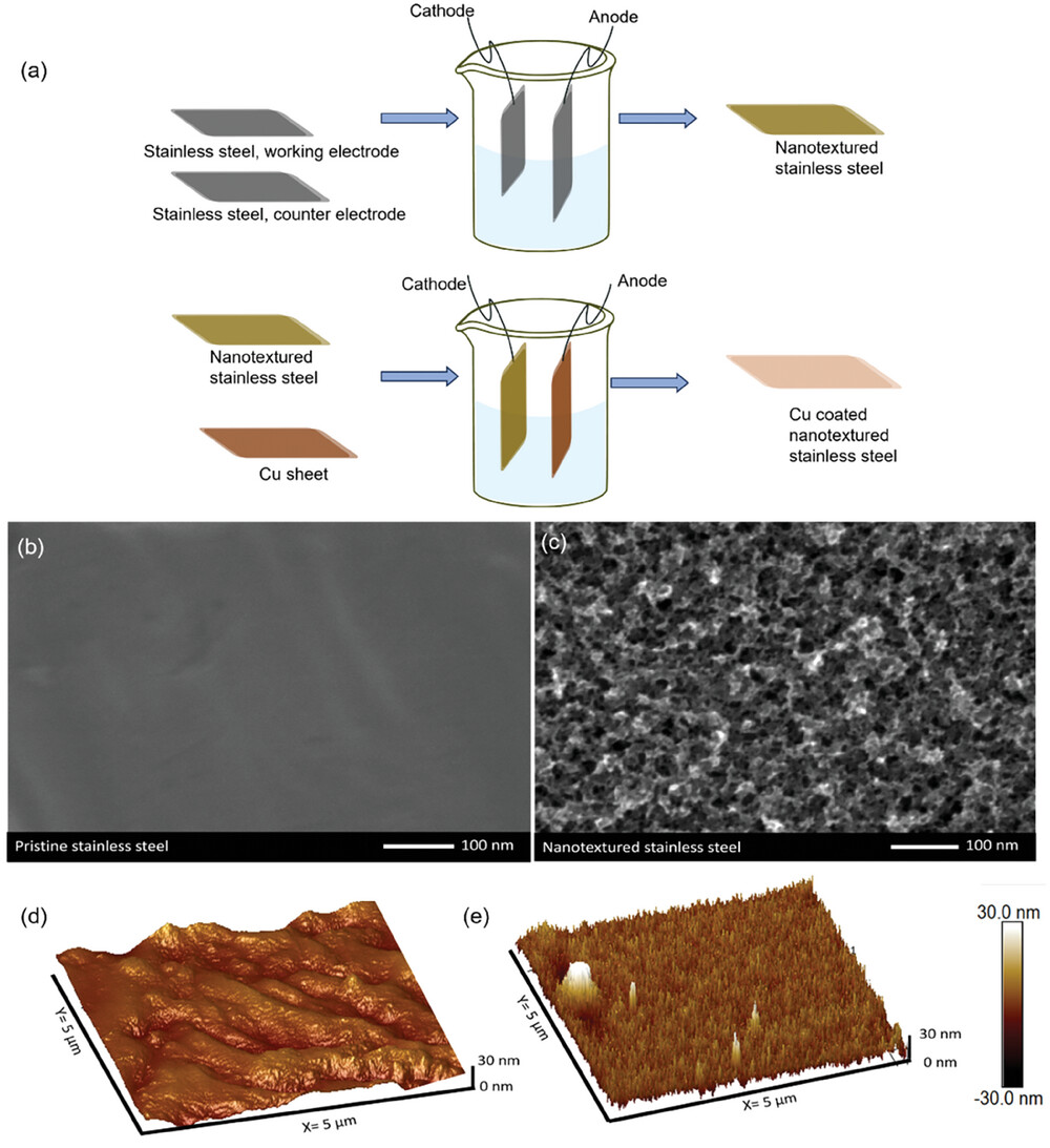 smll202311546-fig-0001-m.jpg