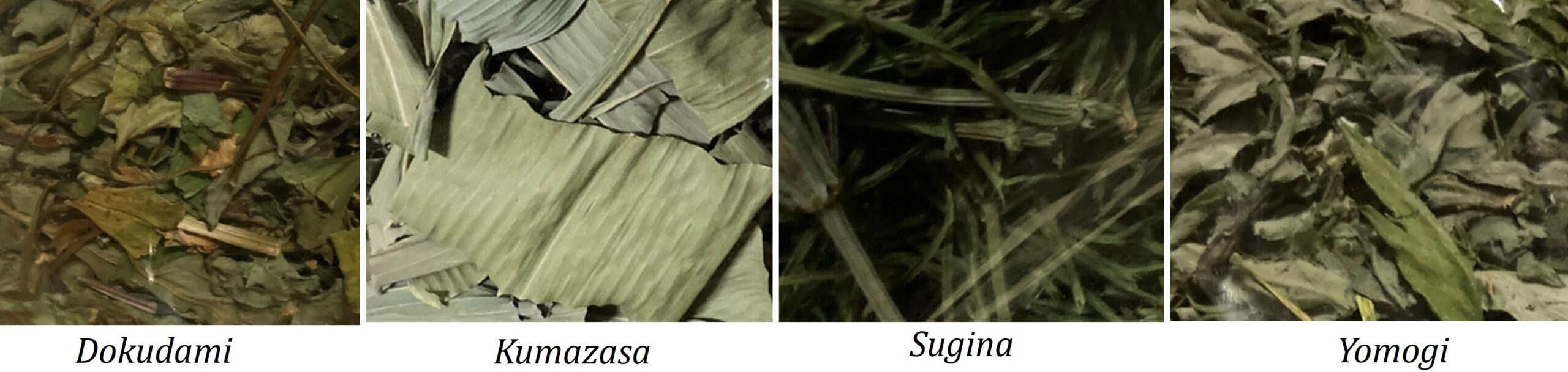 Four-Types-of-Herbal-Tea-Investigated-Graphic.jpg