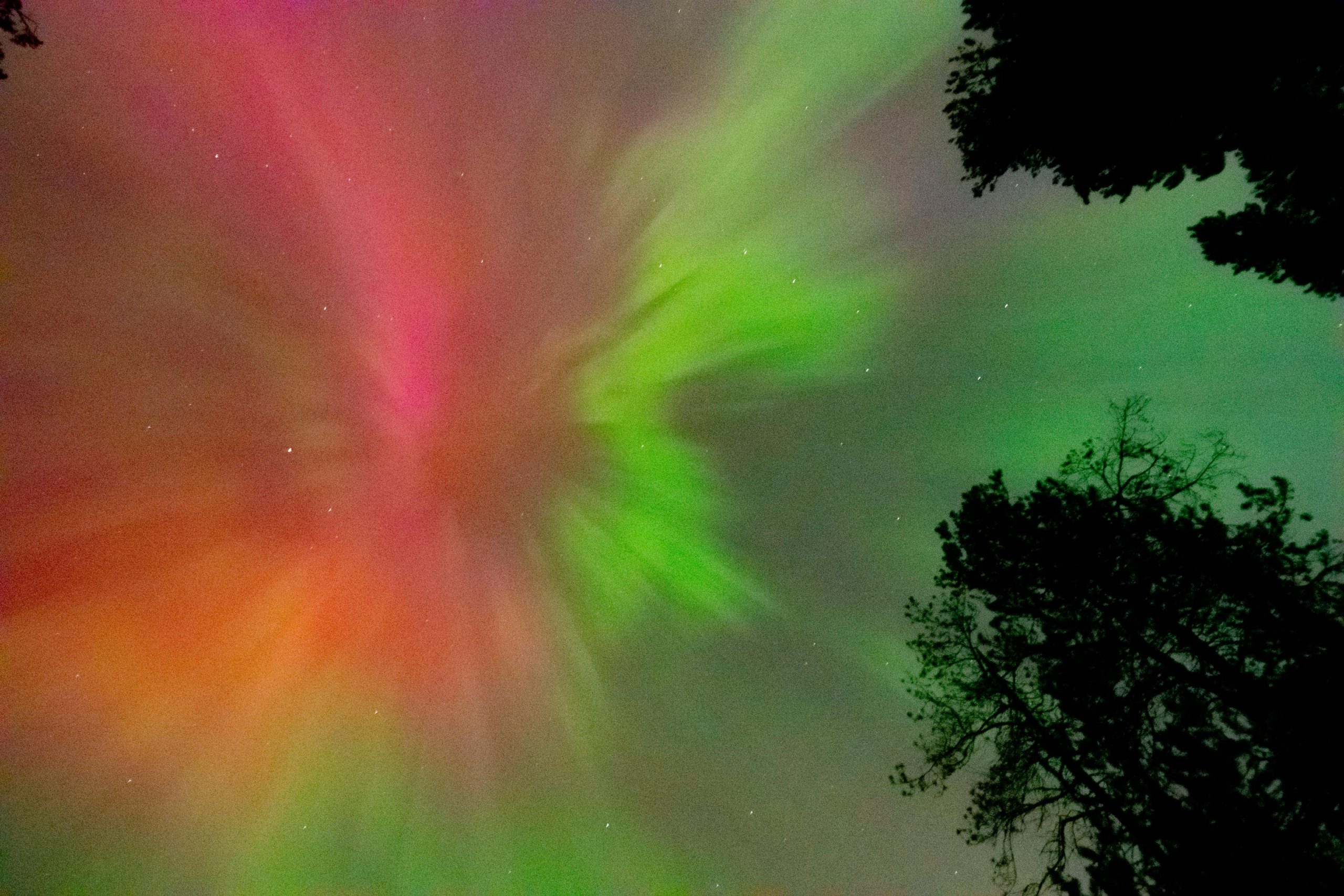 Aurora-British-Columbia-scaled.jpg