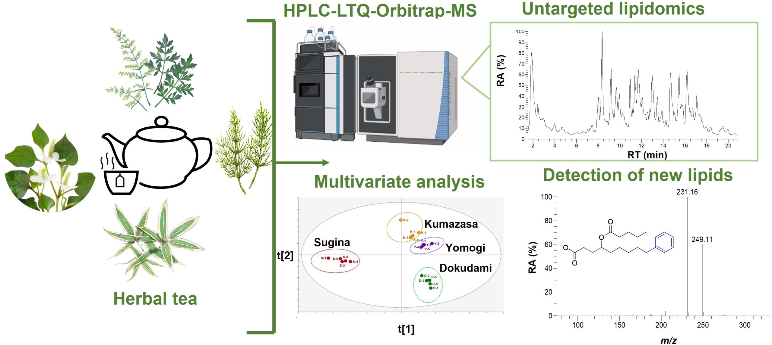 Separation-and-Analysis-Revealed-the-Lipid-Profiles-of-Four-Herbal-Teas.jpg