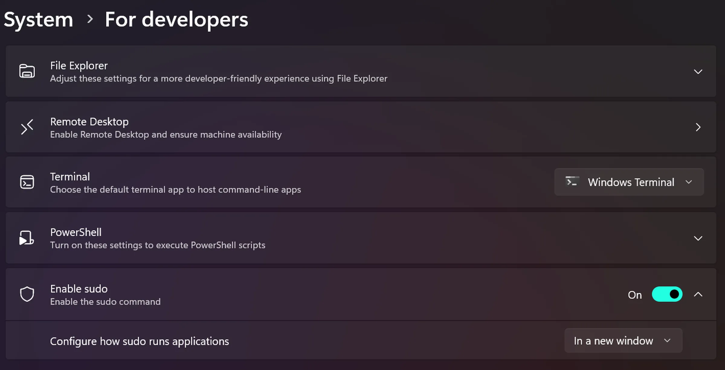 for_developers_settings1.webp