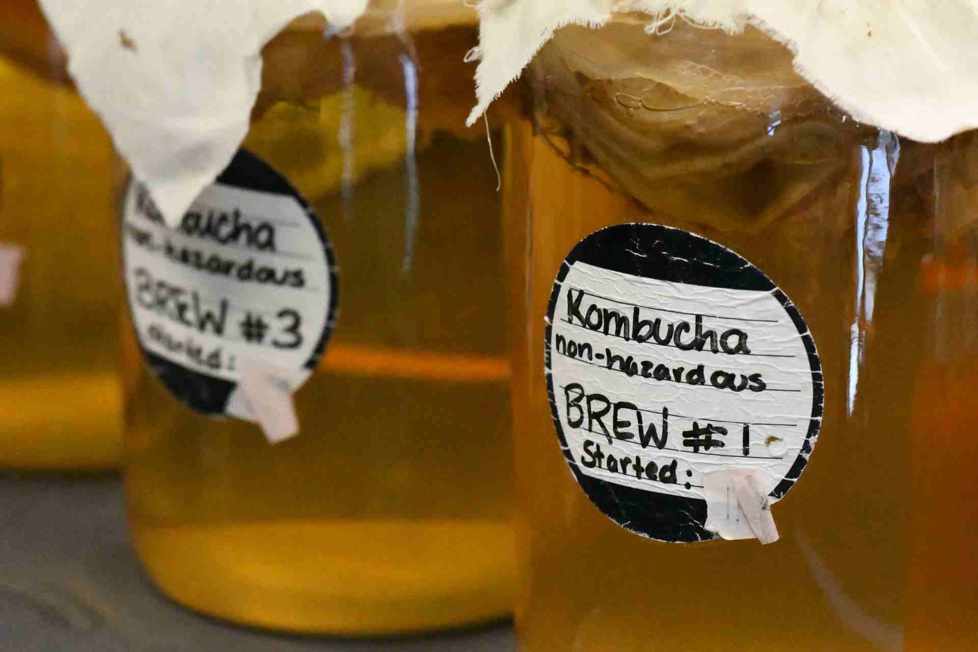 Small-Batch-Kombucha-Tea-Fermenting-in-the-Lab.jpg
