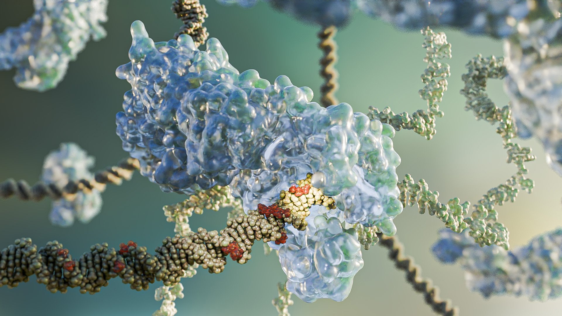 CRISPR-Genome-Editing(1).jpg