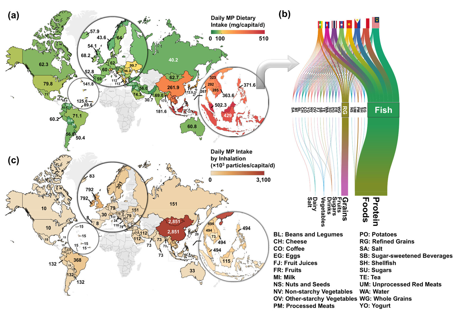 study-maps-human-uptak-1.jpg
