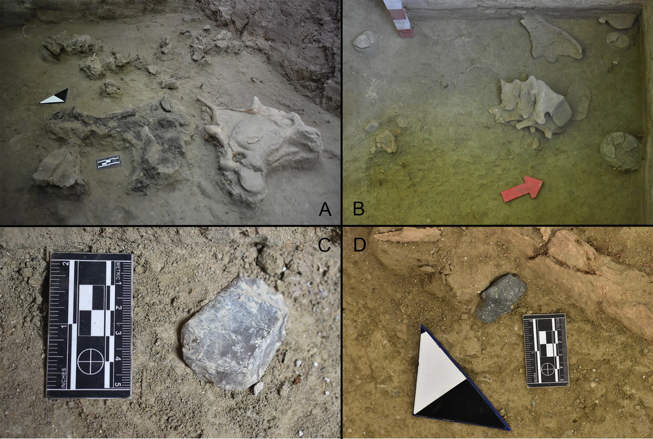 New-Late-Pleistocene-Settlement.webp