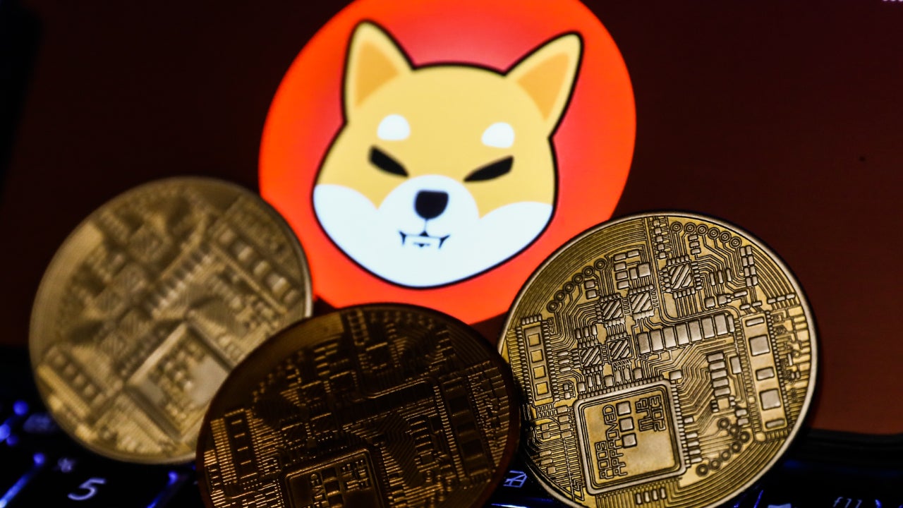 Shiba-Inu.jpeg