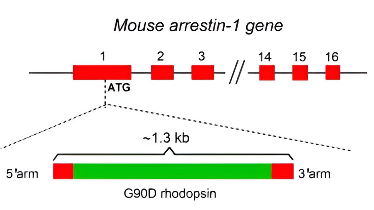 study-suggests-high-fr.jpg