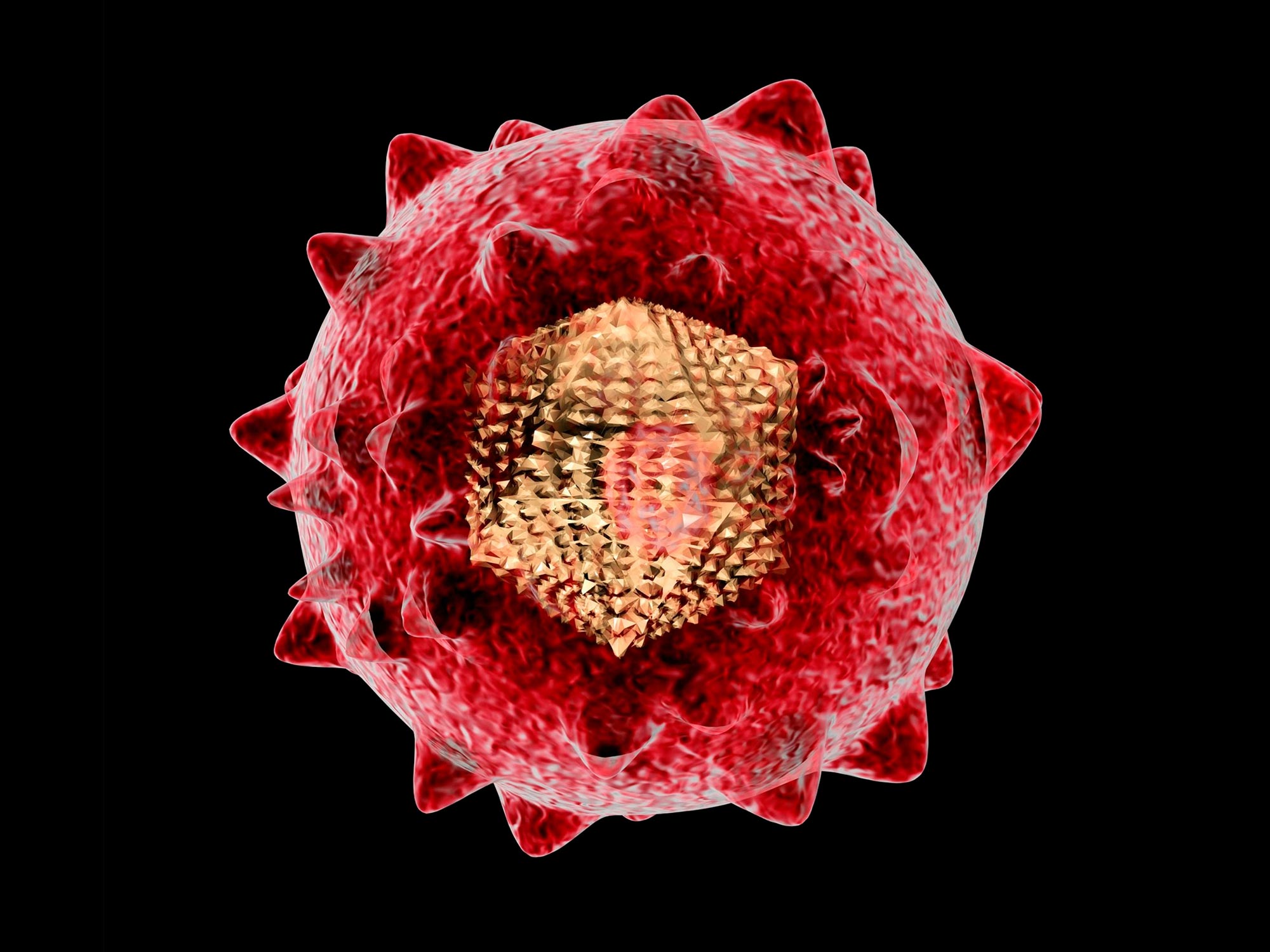 Hepatitis-C-Virus-Illustration.jpg