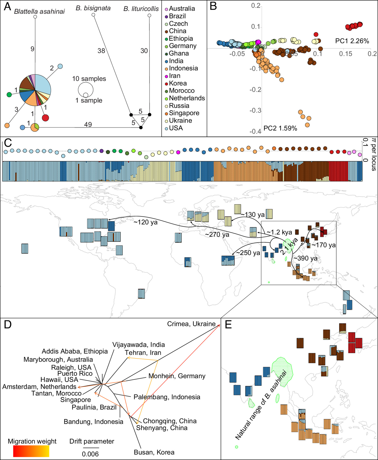 pnas.2401185121fig01.jpg