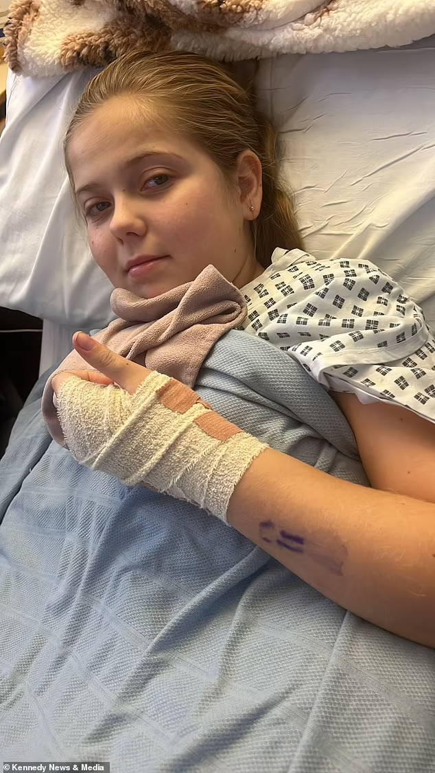 85519547-13478427-Concerns_have_been_raised_about_Temu_after_11_year_old_Chloe_Nor-a-110_1717114170662.jpg
