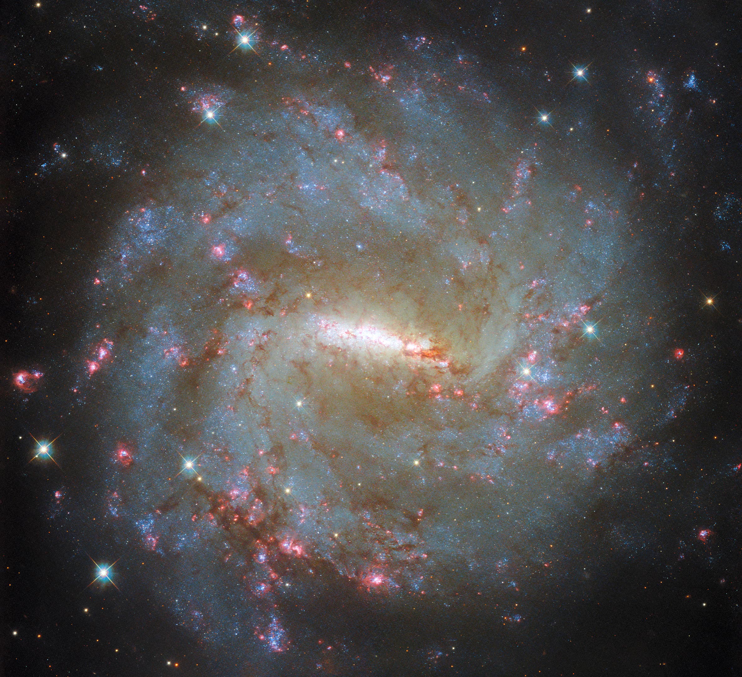 Spiral-Galaxy-NGC-3059.jpg