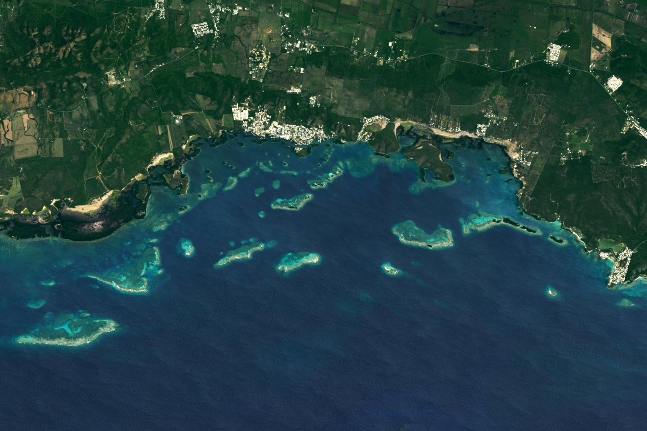 Reefs-of-La-Parguera-2024.jpg
