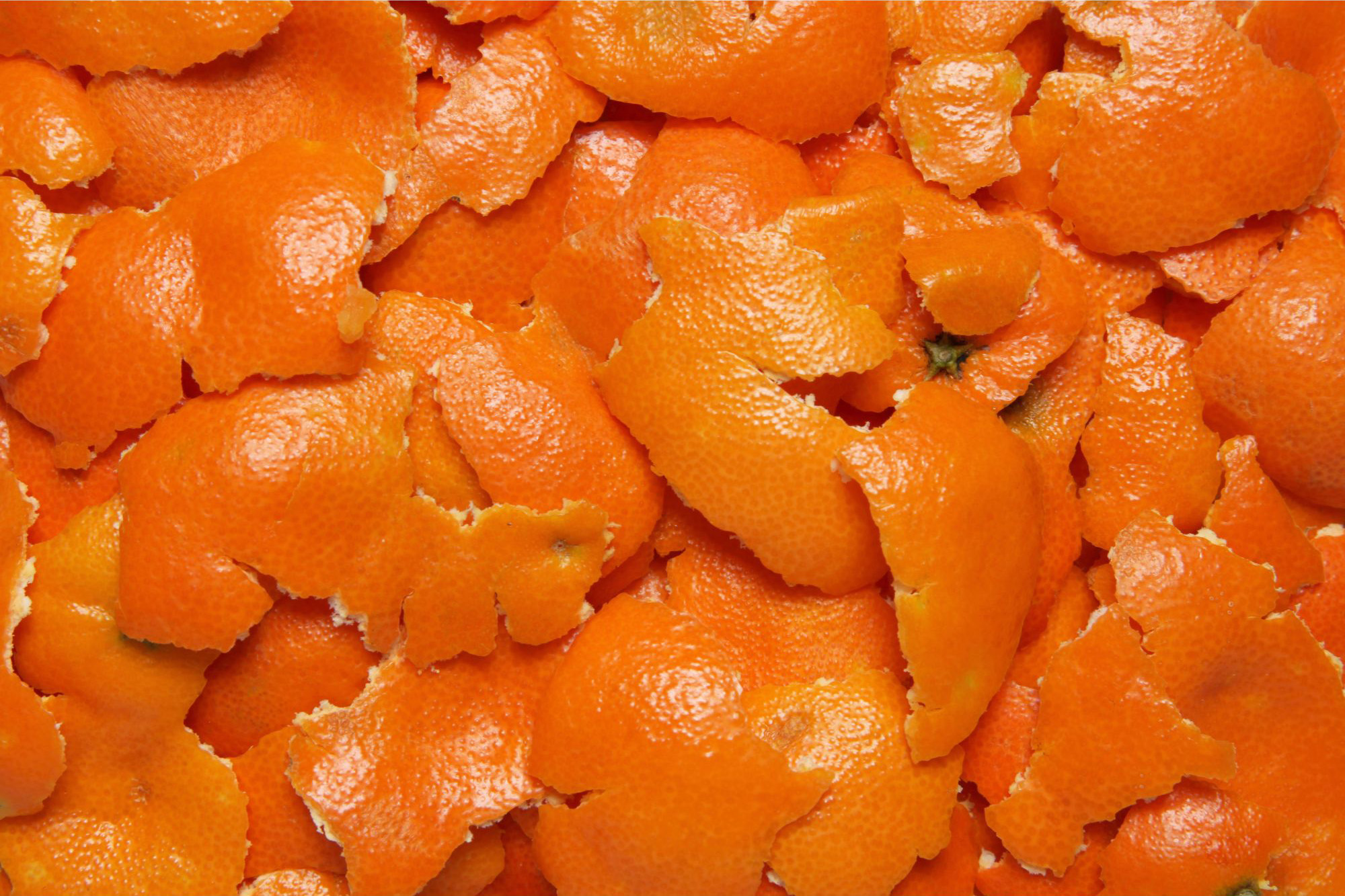 Orange-Peel.jpg
