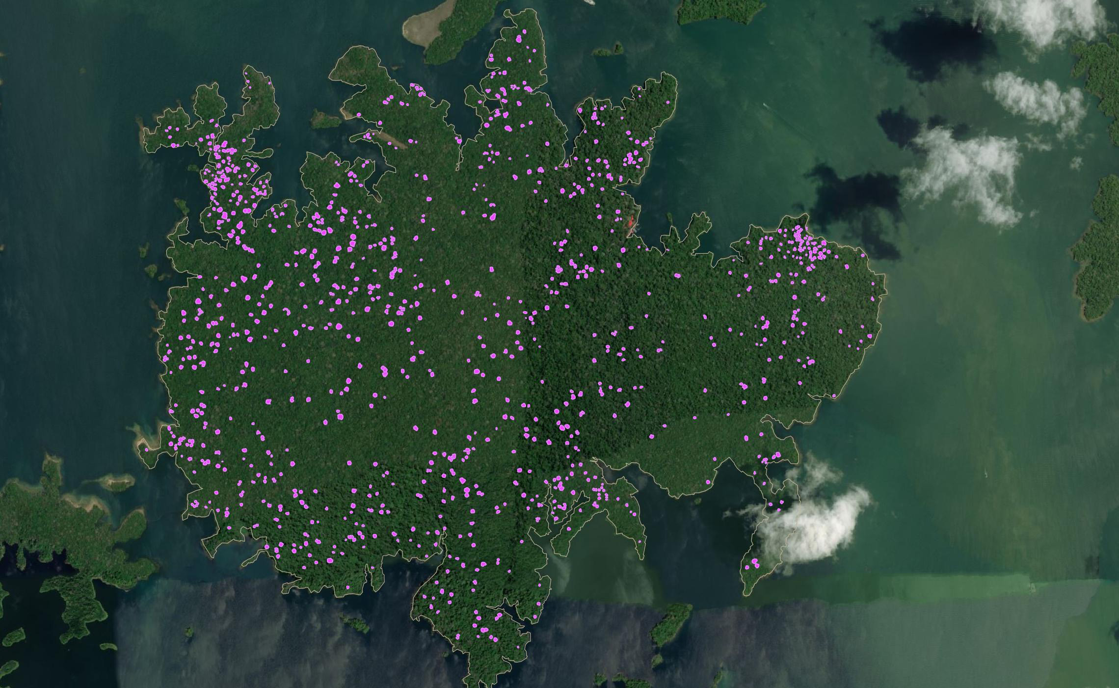 Map-of-Dipteryx-Trees.jpg