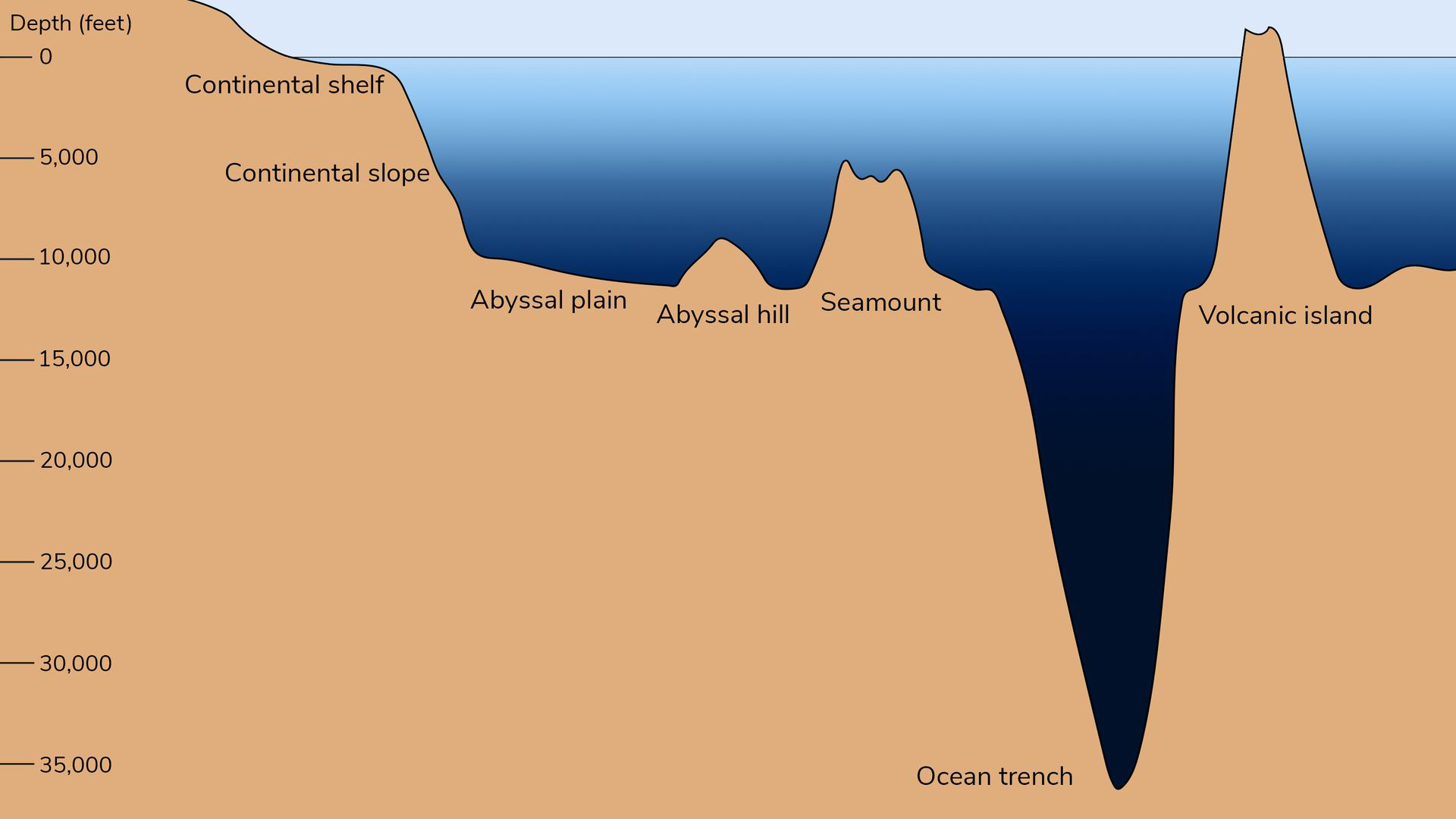 Ocean-Floor-Features-on-a-Scale-From-0–35000-Feet-Below-Sea-Level.jpg